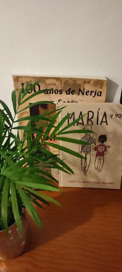 Nerja Apartamento Centro Экстерьер фото